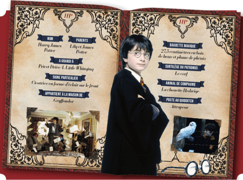 Les personnages de la saga Harry Potter