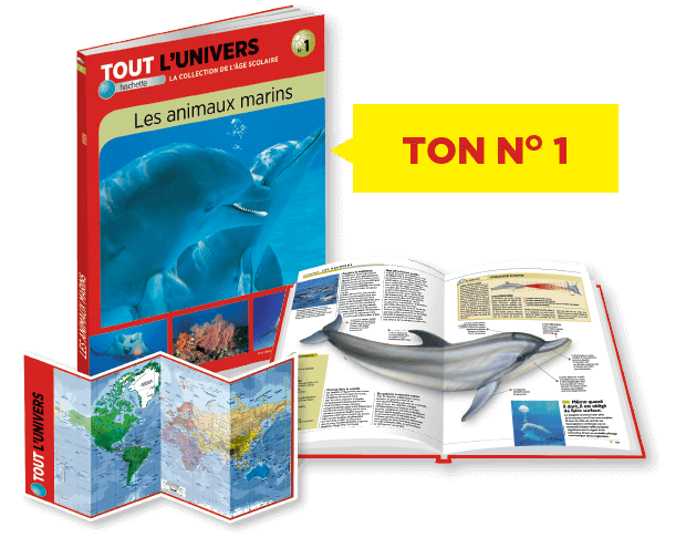 Ton n°1 : le livre sur les animaux marins + le planisphère OFFERT !