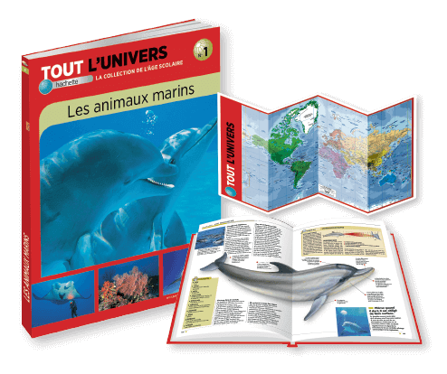 Ton n°1 : le livre sur les animaux marins + le planisphère OFFERT !