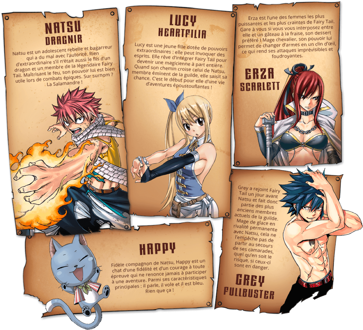 La collection Fairy Tail
