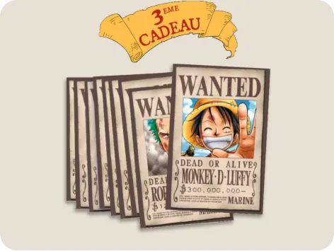 Les 9 cartes postales One Piece