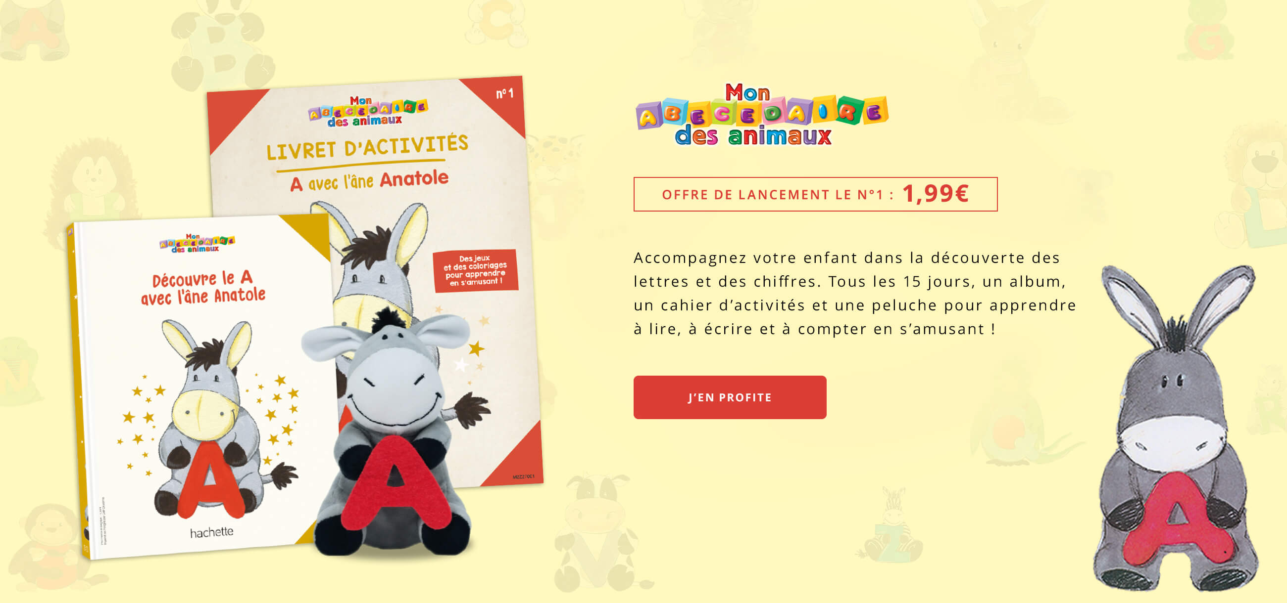 Hachette Collections – Miniatures Autos, Livres Personnalisés