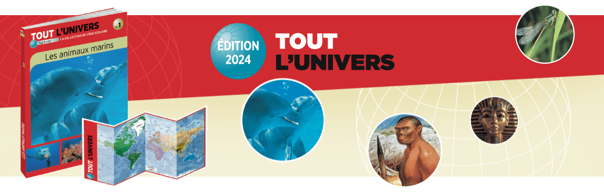 Tout l'Univers - Édition 2024