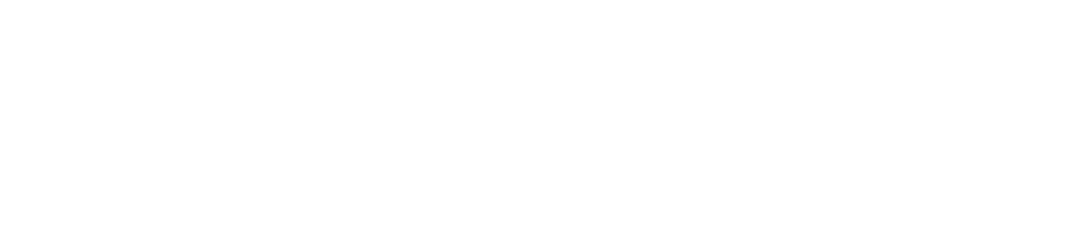 Graf Zeppelin