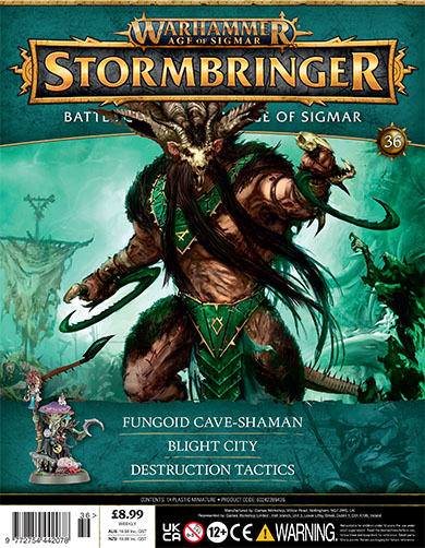 Warhammer Age of Sigmar: Stormbringer Issue 36