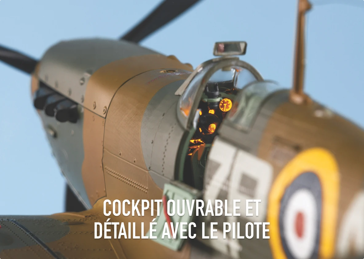 Cockpit ouvrable et détaillé avec le pilote