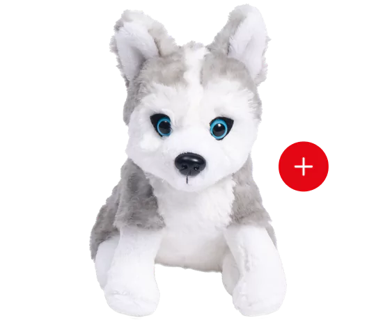 le husky