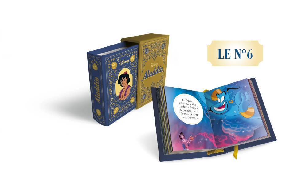 Le N°6 : Le mini-livre ALADDIN et son étui 