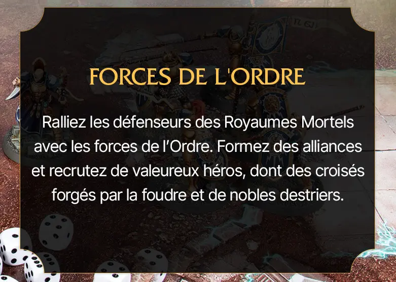 Forces de l'ordre