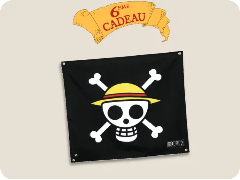 Le drapeau One Piece