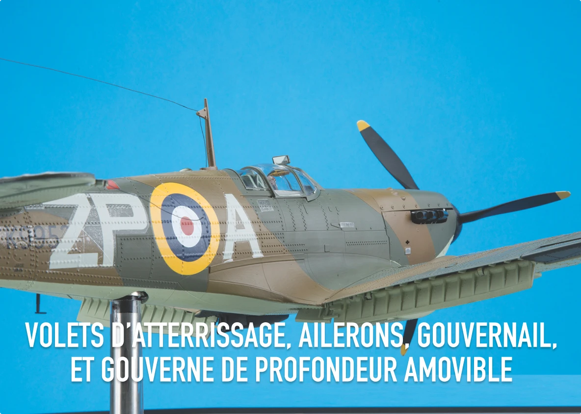 Volets d’atterrissage, ailerons, gouvernail, et gouverne de profondeur amovible