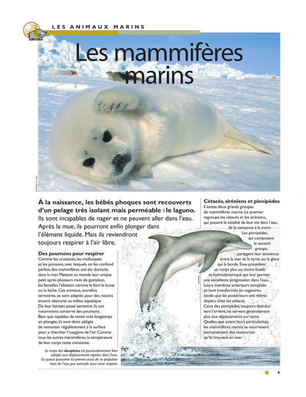 La collection Tout l'Univers Édition 2024