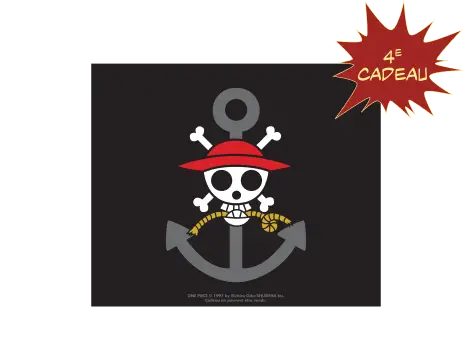 Le drapeau pirate one piece