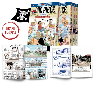 Manga One Piece édition collector