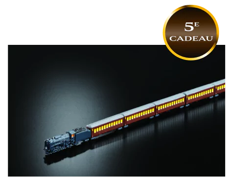 LA MINIATURE DU GALAXY EXPRESS 999