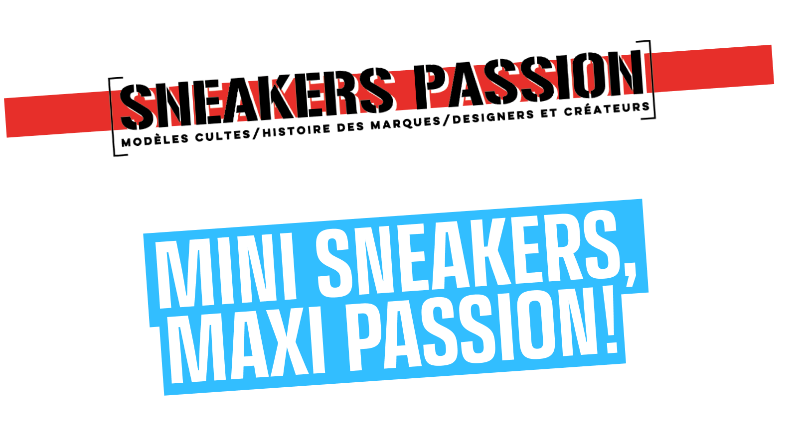 Sneakers Passion